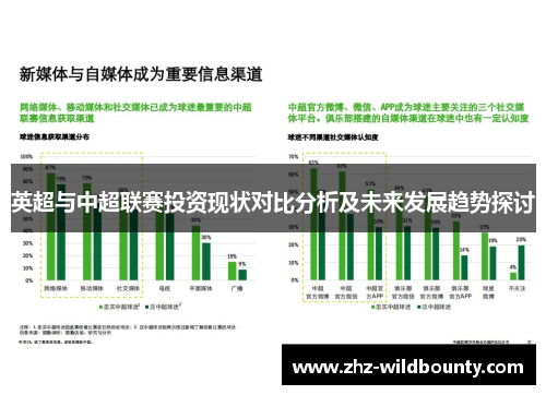 英超与中超联赛投资现状对比分析及未来发展趋势探讨