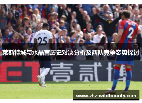 莱斯特城与水晶宫历史对决分析及两队竞争态势探讨