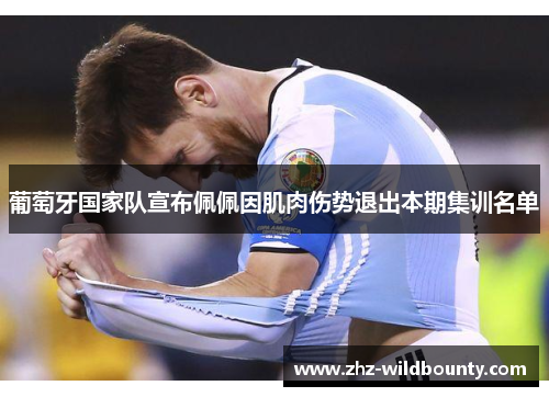 葡萄牙国家队宣布佩佩因肌肉伤势退出本期集训名单 葡萄牙国家队宣布佩佩因肌肉伤势退出本期集训名单