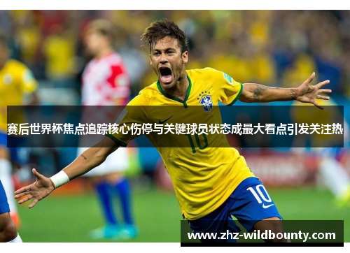 赛后世界杯焦点追踪核心伤停与关键球员状态成最大看点引发关注热